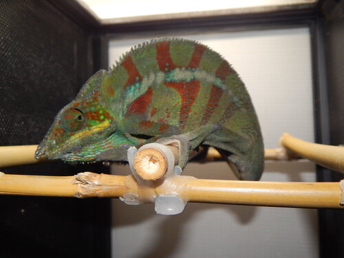 DSCN1245.JPG