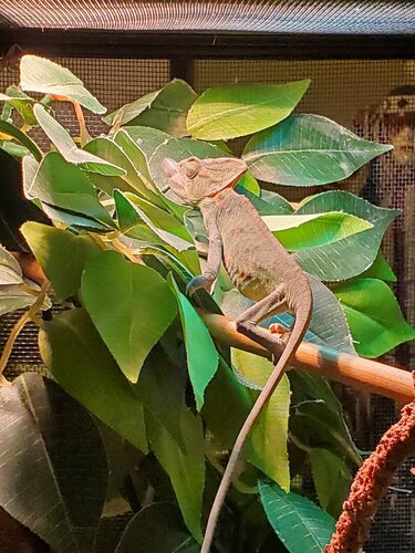 20200124_173923.jpg