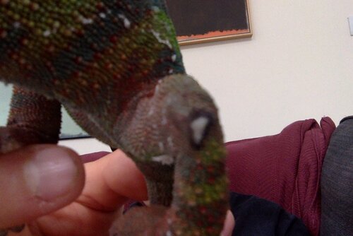 Photo on 2-8-20 at 10.32 AM.jpeg