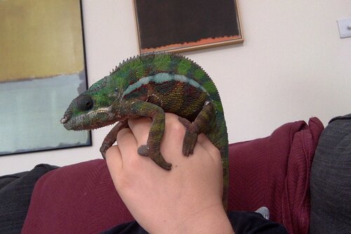 Photo on 2-8-20 at 10.25 AM.jpeg