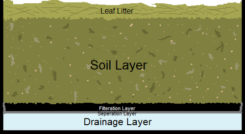 Intro to Bio-Activity