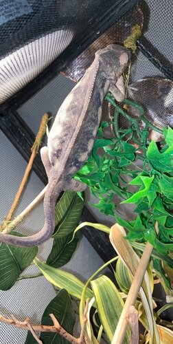 2AB7580B-9E9A-40AF-9C96-4D665169588F.jpeg