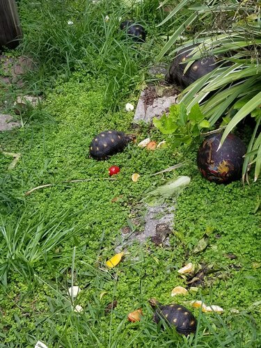 20190728_132402.jpg