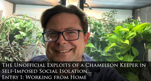 March 14, 2020. Day 1. Working from Home