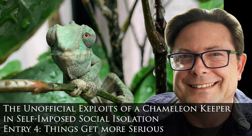 March 17. Things Get More Serious