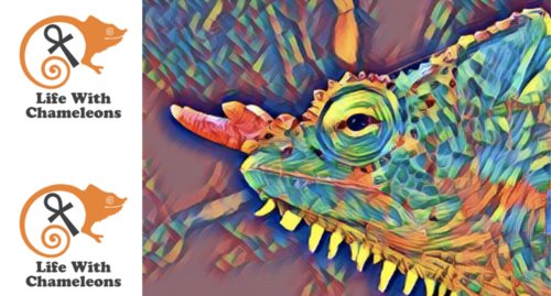 Screen Shot 2020-03-06 at 17.13.30.png