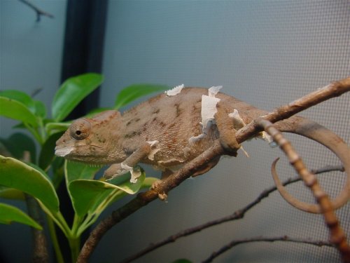 male 3.jpg