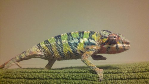 2011-03-28_08-45-27_415.jpg