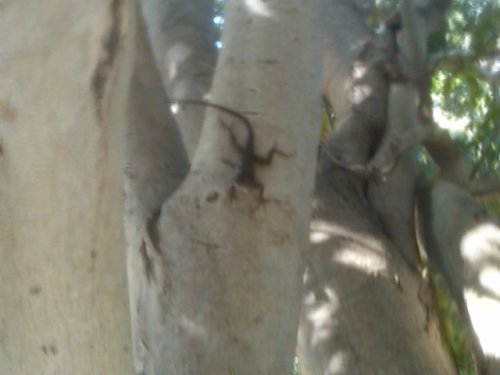 IMG-20110406-00154.jpg