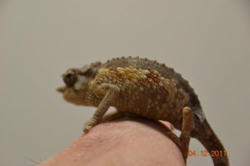 DSC_0240.jpg