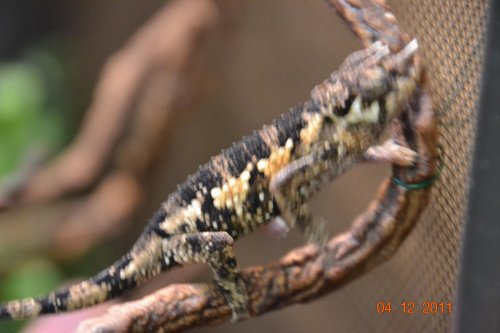 DSC_0244.jpg