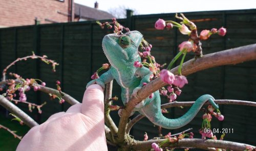 6th april me and my mummy.jpg