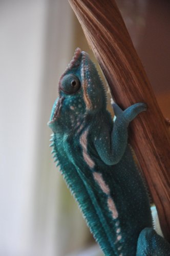 DSC_0165.jpg