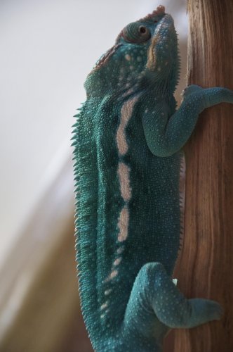 DSC_0162_2.jpg