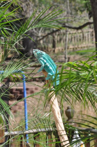 DSC_0137.jpg