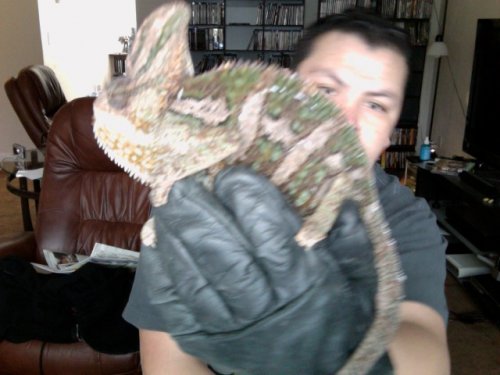 Photo on 2011-04-17 at 12.32.jpg