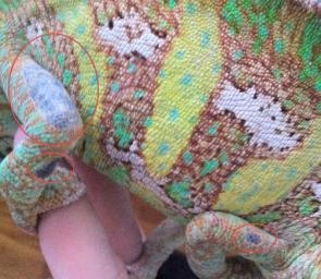 Screen shot 2011-04-17 at 5.06.05 PM.jpg