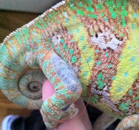 Screen shot 2011-04-17 at 5.06.25 PM.jpg