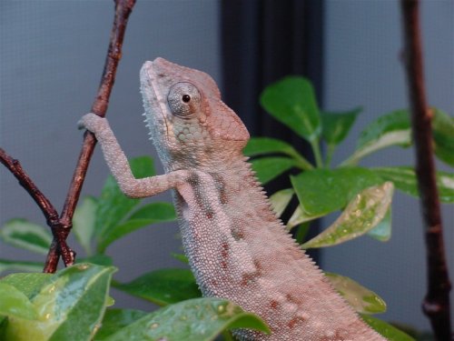 male3.jpg