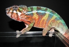 S2.jpg