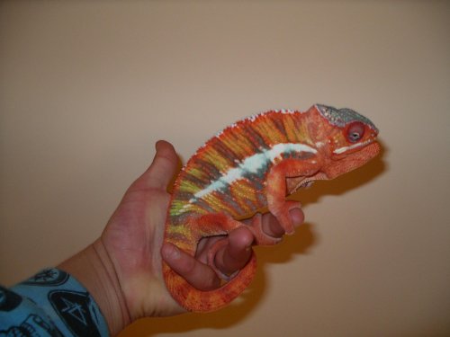 Pictures 2010 086.jpg