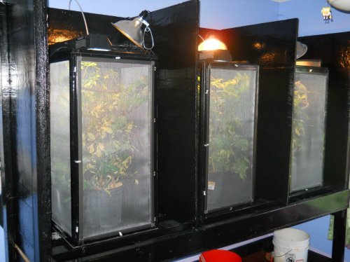 Indoor setup (1).jpg