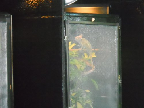 Indoor setup (2).jpg