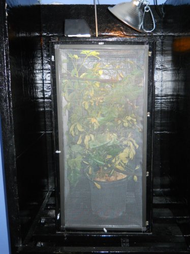 Indoor setup (4).jpg