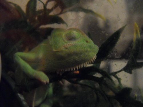 DSCF4108.jpg