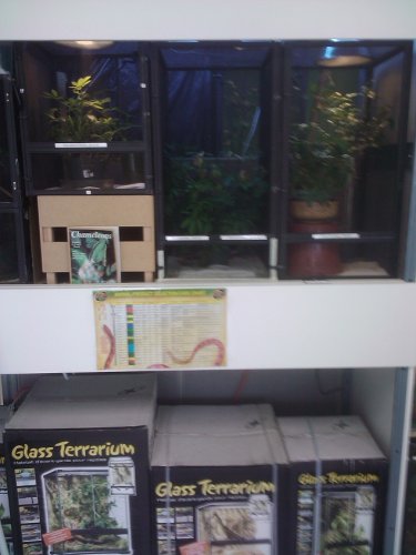 2011-04-23 13.07.13.jpg