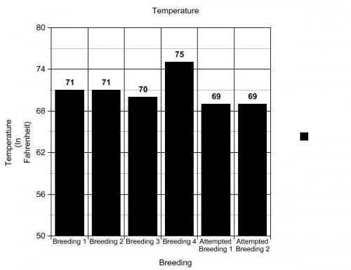 Temperature Graph.jpg