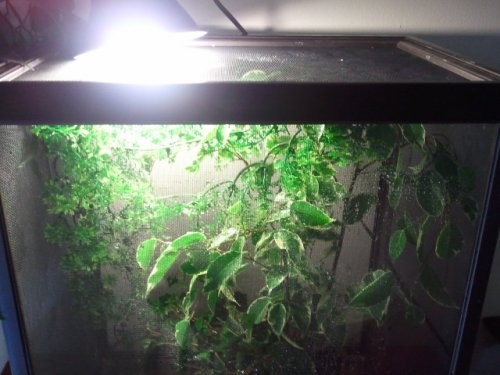 2011-04-28 15.08.51#1.jpg