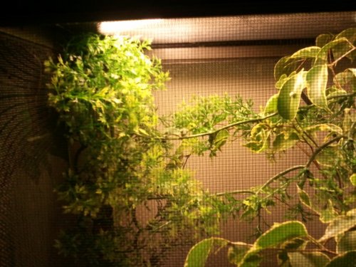 2011-04-28 16.33.53.jpg