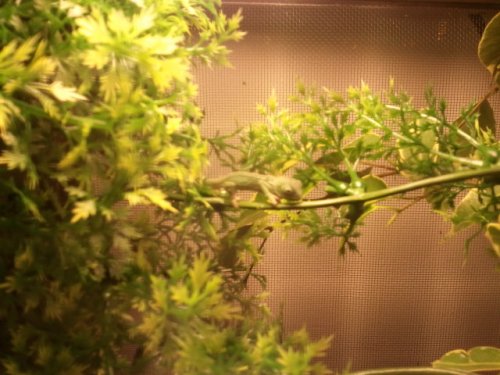 2011-04-28 16.33.22#1.jpg