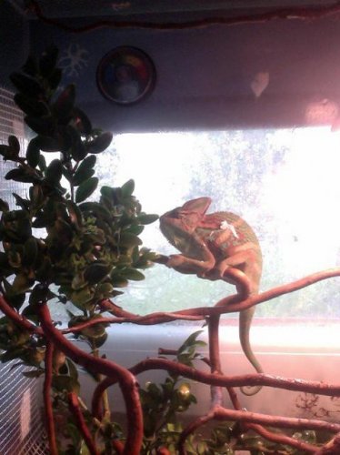 Photo on 2011-04-29 at 06.54 #2.jpg