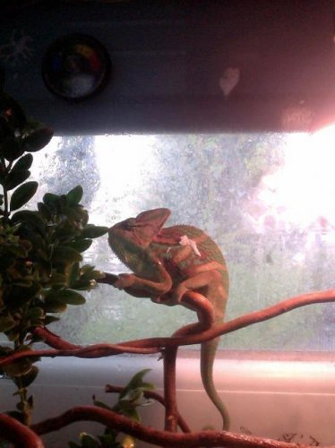 Photo on 2011-04-29 at 06.54 #3.jpg