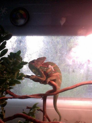 Photo on 2011-04-29 at 06.55.jpg