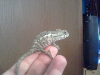 2011-04-23 15.19.06.jpg