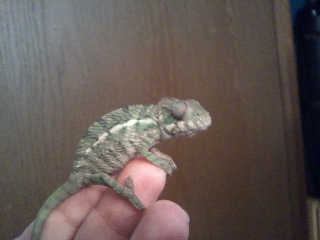 2011-04-23 15.19.25.jpg