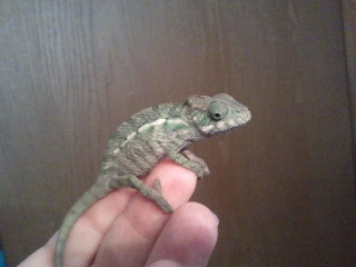 2011-04-23 15.19.53.jpg