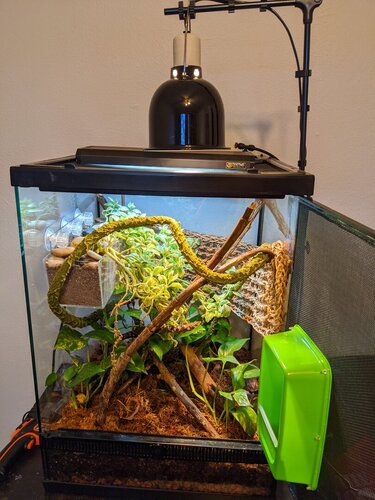 Yoda-Enclosure.jpg