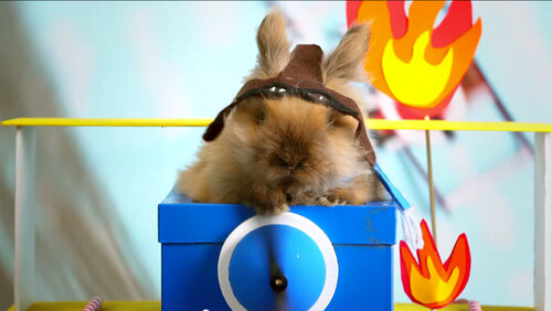 645158_040915-cc-fuzzy-bunny-pilot-thumb.jpg
