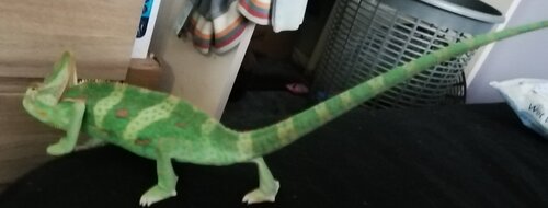 IMG_20200504_114200.jpg