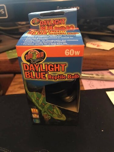 bulb.jpg