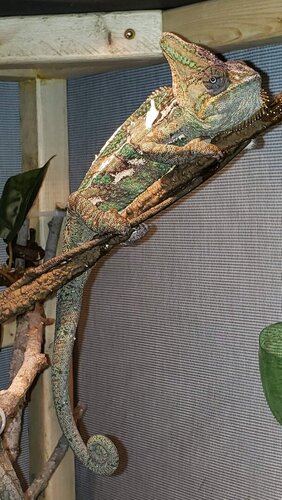 20200611_140343.jpg