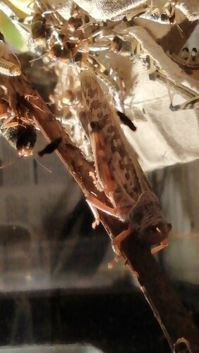 2020-6-18 0-13-1.jpg