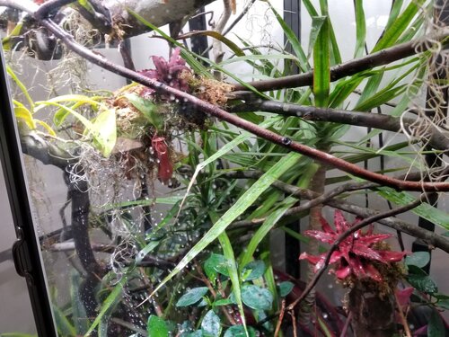 20180523_191351.jpg