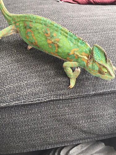 WhatsApp Image 2020-07-06 at 10.17.18.jpeg