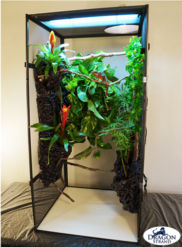 Screen Shot 2020-08-05 at 3.14.04 PM.png