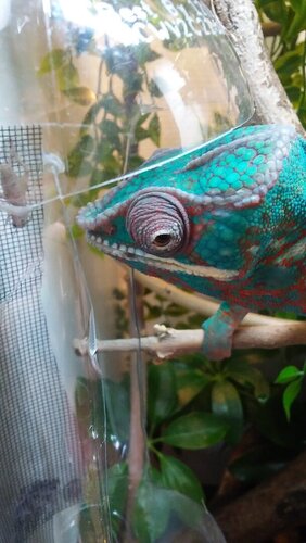 0806201013.jpg
